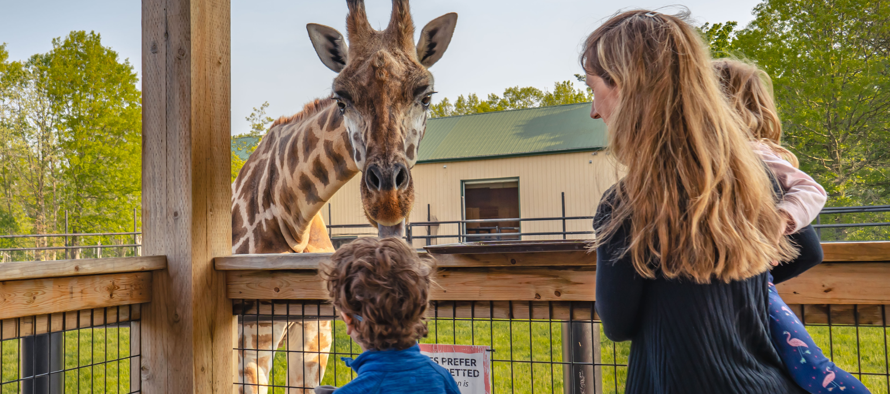 Exploring Wildlife Adventures in Niagara Falls