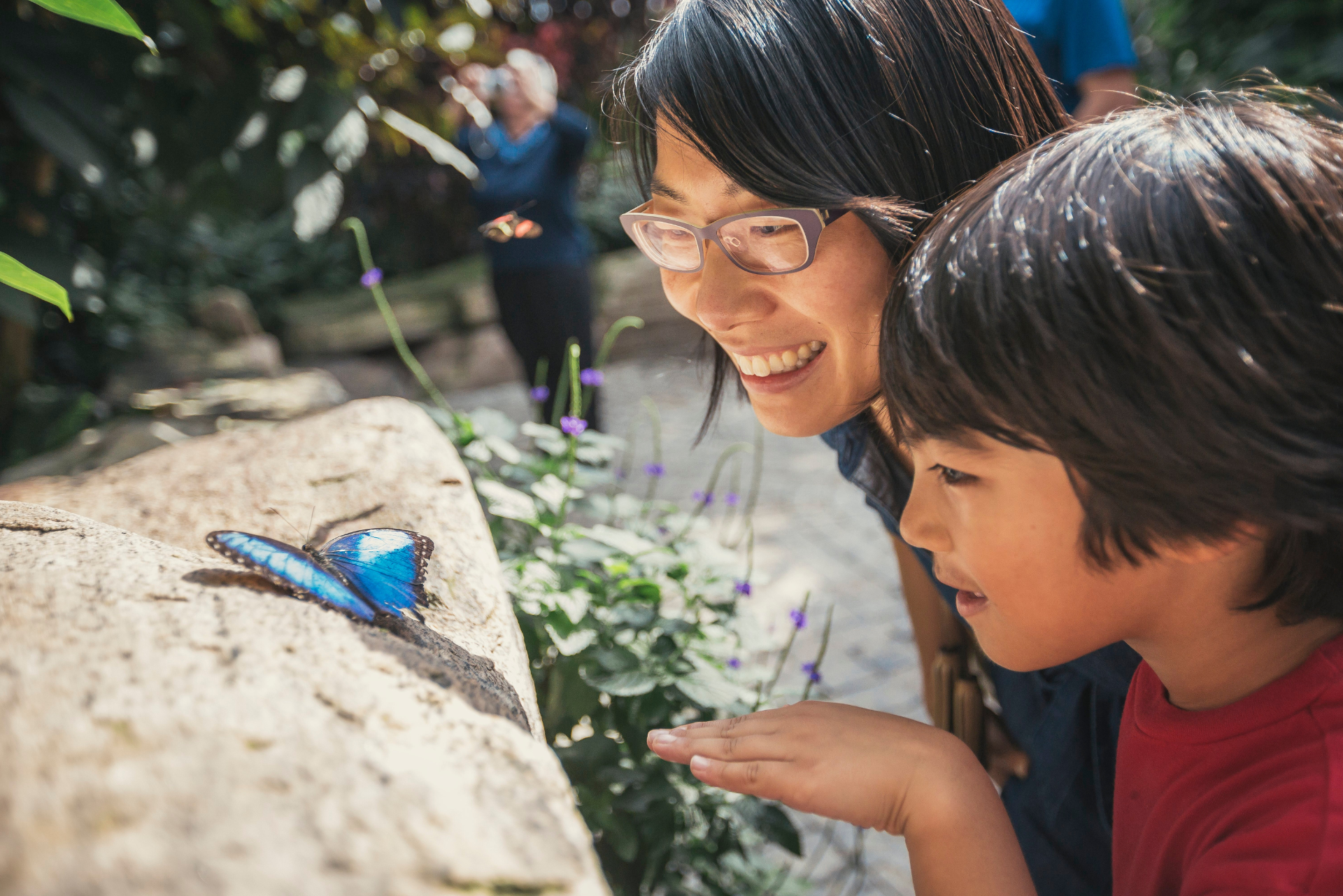 Butterfly Conservatory 