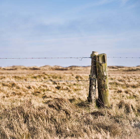 Fall Film Series: Borders - Crossing the Line North and Sout